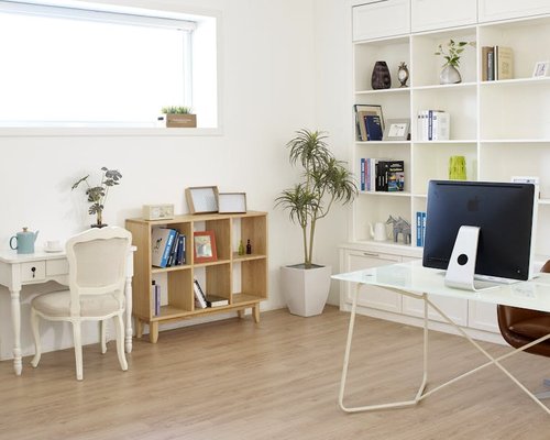 Organized workspace with natural light and plants